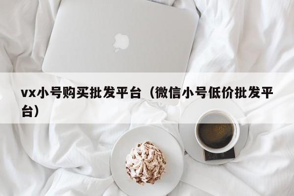 vx小号购买批发平台（微信小号低价批发平台）