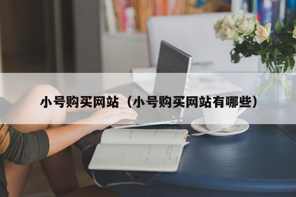 小号购买网站（小号购买网站有哪些）