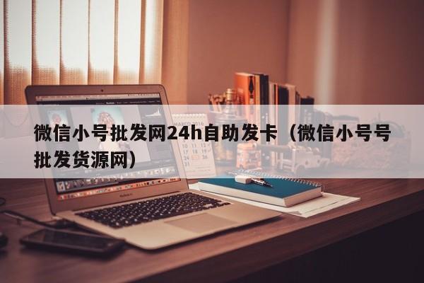 微信小号批发网24h自助发卡（微信小号号批发货源网）