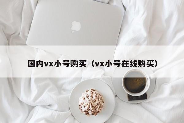 国内vx小号购买（vx小号在线购买）