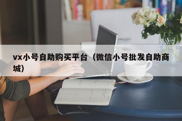 vx小号自助购买平台（微信小号批发自助商城）
