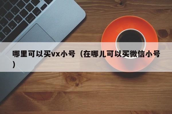 哪里可以买vx小号（在哪儿可以买微信小号）