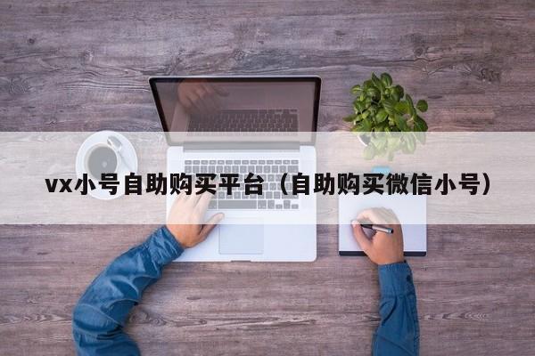vx小号自助购买平台（自助购买微信小号）