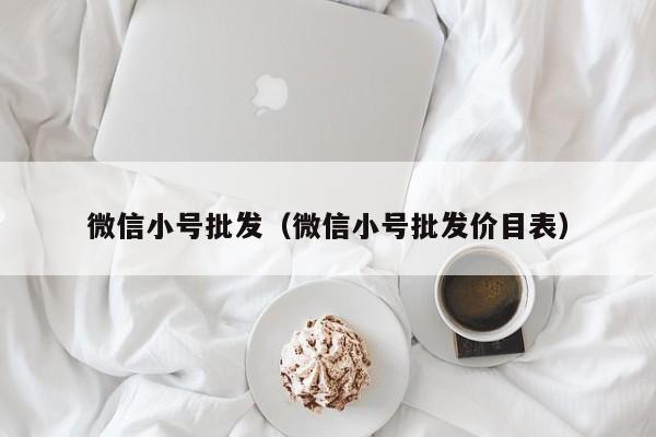 微信小号批发（微信小号批发价目表）