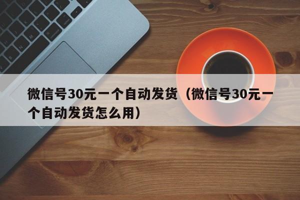 微信号30元一个自动发货(微信号30元一个自动发货怎么用)
