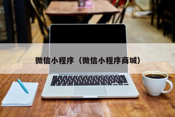 微信小程序（微信小程序商城）