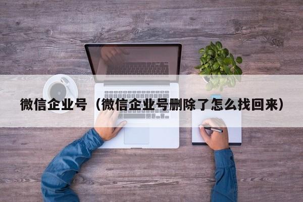 微信企业号（微信企业号删除了怎么找回来）