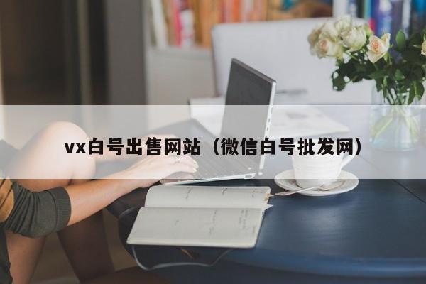 vx白号出售网站（微信白号批发网）