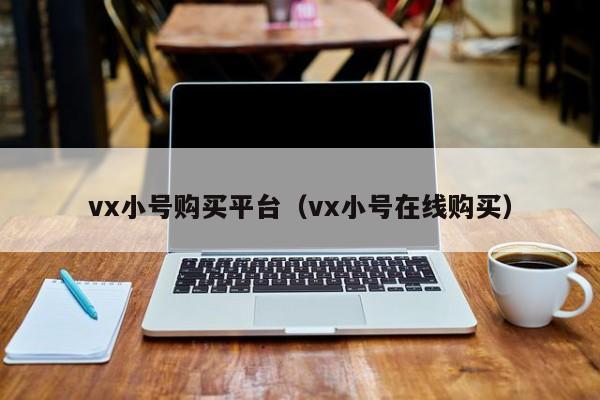 vx小号购买平台（vx小号在线购买）