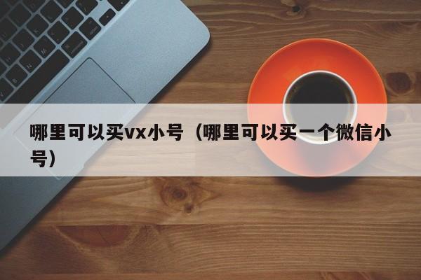 哪里可以买vx小号（哪里可以买一个微信小号）