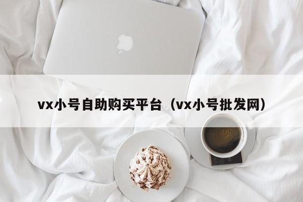 vx小号自助购买平台（vx小号批发网）