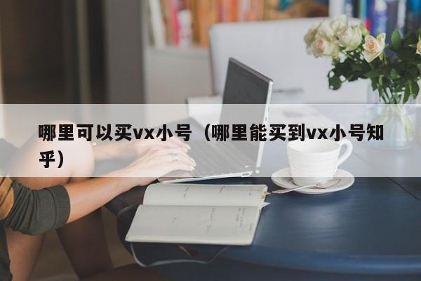 哪里可以买vx小号（哪里能买到vx小号知乎）