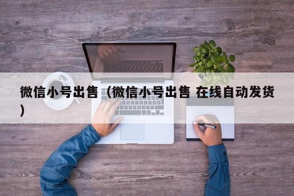 微信小号出售（微信小号出售 在线自动发货）