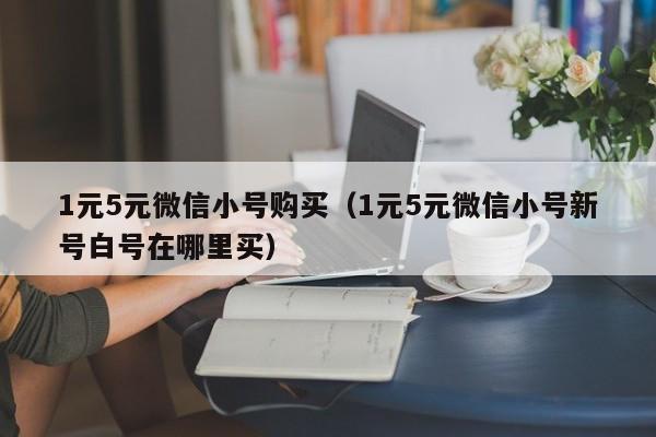 1元5元微信小号购买（1元5元微信小号新号白号在哪里买）
