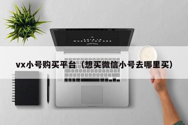 vx小号购买平台（想买微信小号去哪里买）