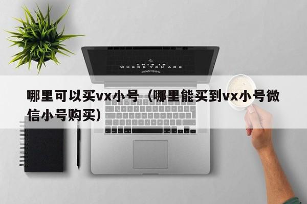 哪里可以买vx小号（哪里能买到vx小号微信小号购买）
