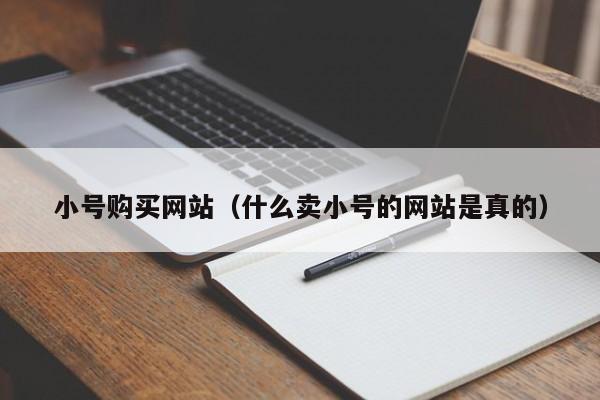小号购买网站（什么卖小号的网站是真的）