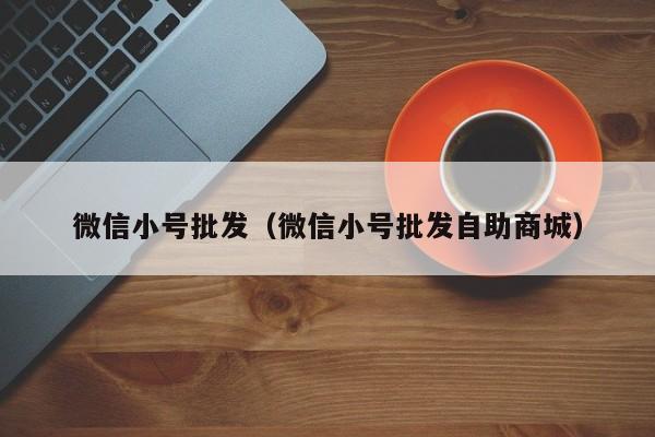 微信小号批发（微信小号批发自助商城）