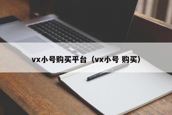vx小号购买平台（vx小号 购买）