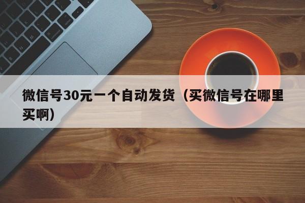 微信号30元一个自动发货（买微信号在哪里买啊）