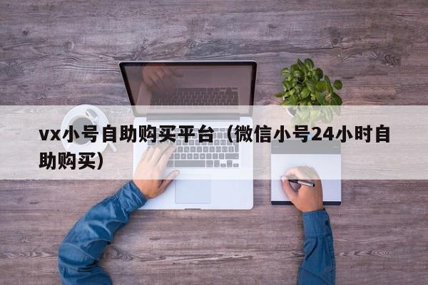 vx小号自助购买平台（微信小号24小时自助购买）